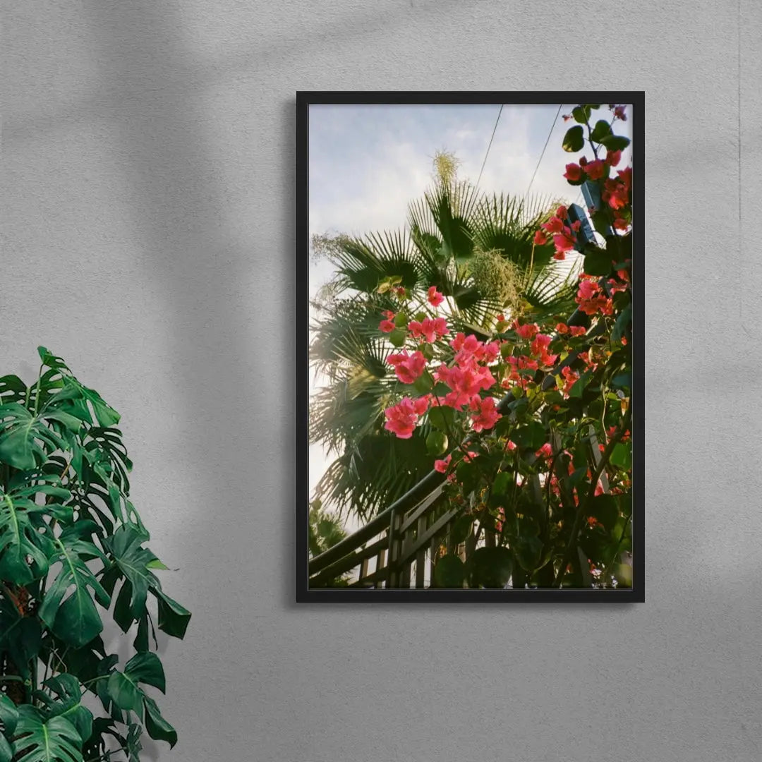 Bougainvillea contemporary wall art print by Robin Knuth - sold by DROOL