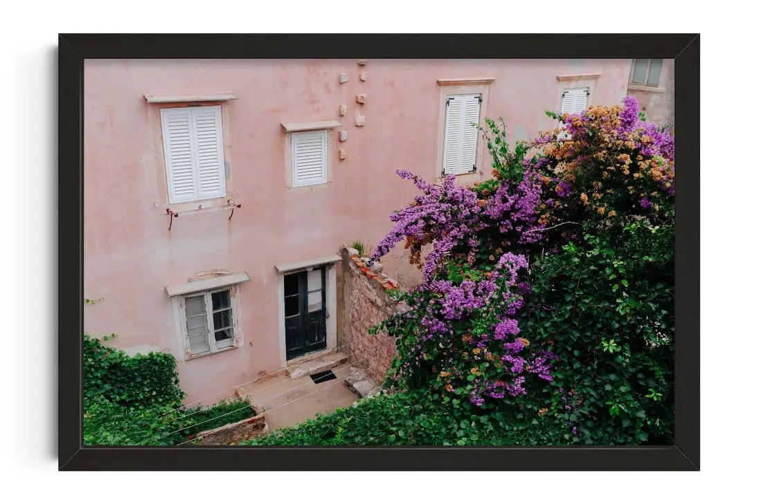 Pink Wall Bougainvillea contemporary wall art print by Sam Rouda - sold by DROOL