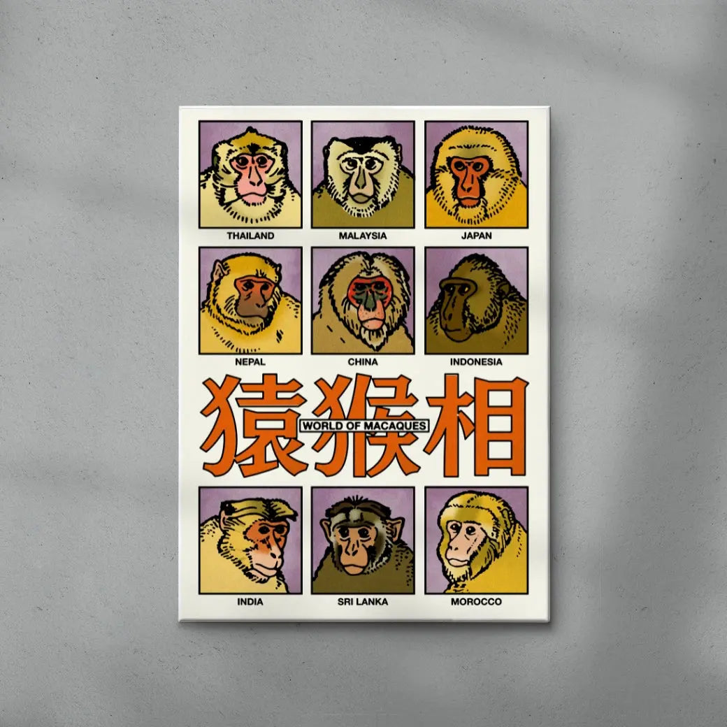 World of Macaques