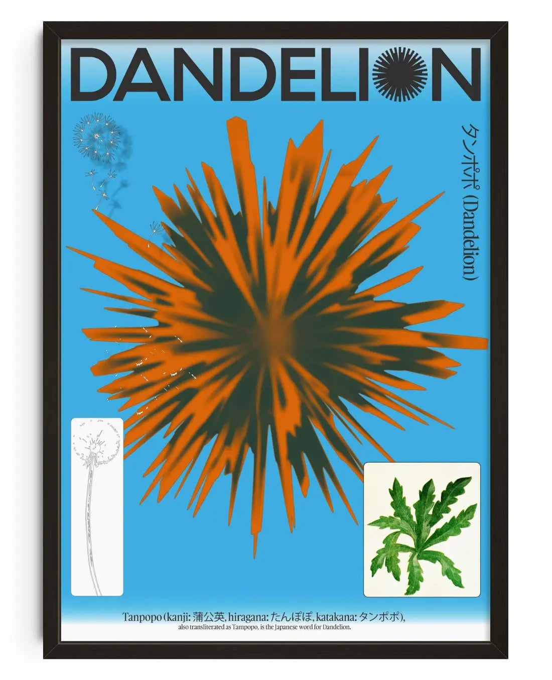 Dandelion contemporary art print by John Schulisch - sold by DROOL