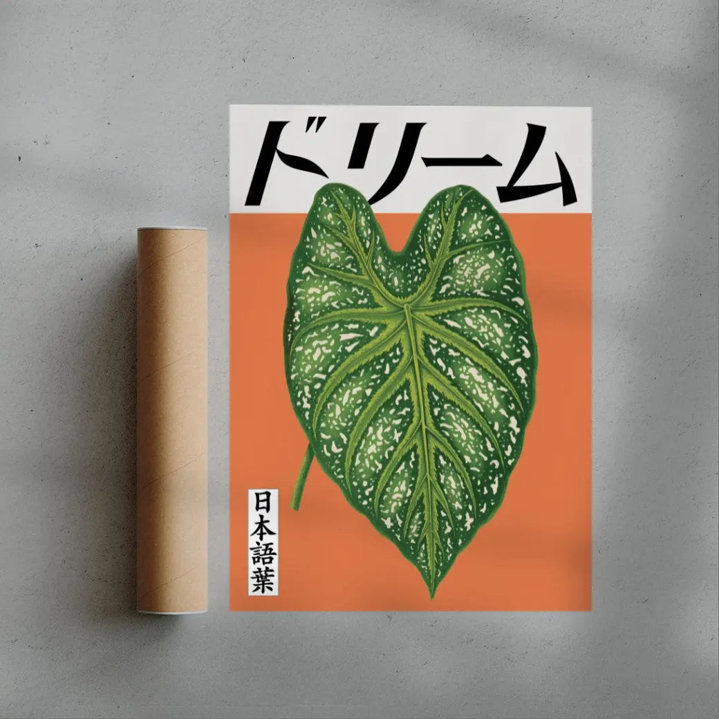 Caladium Dreaming