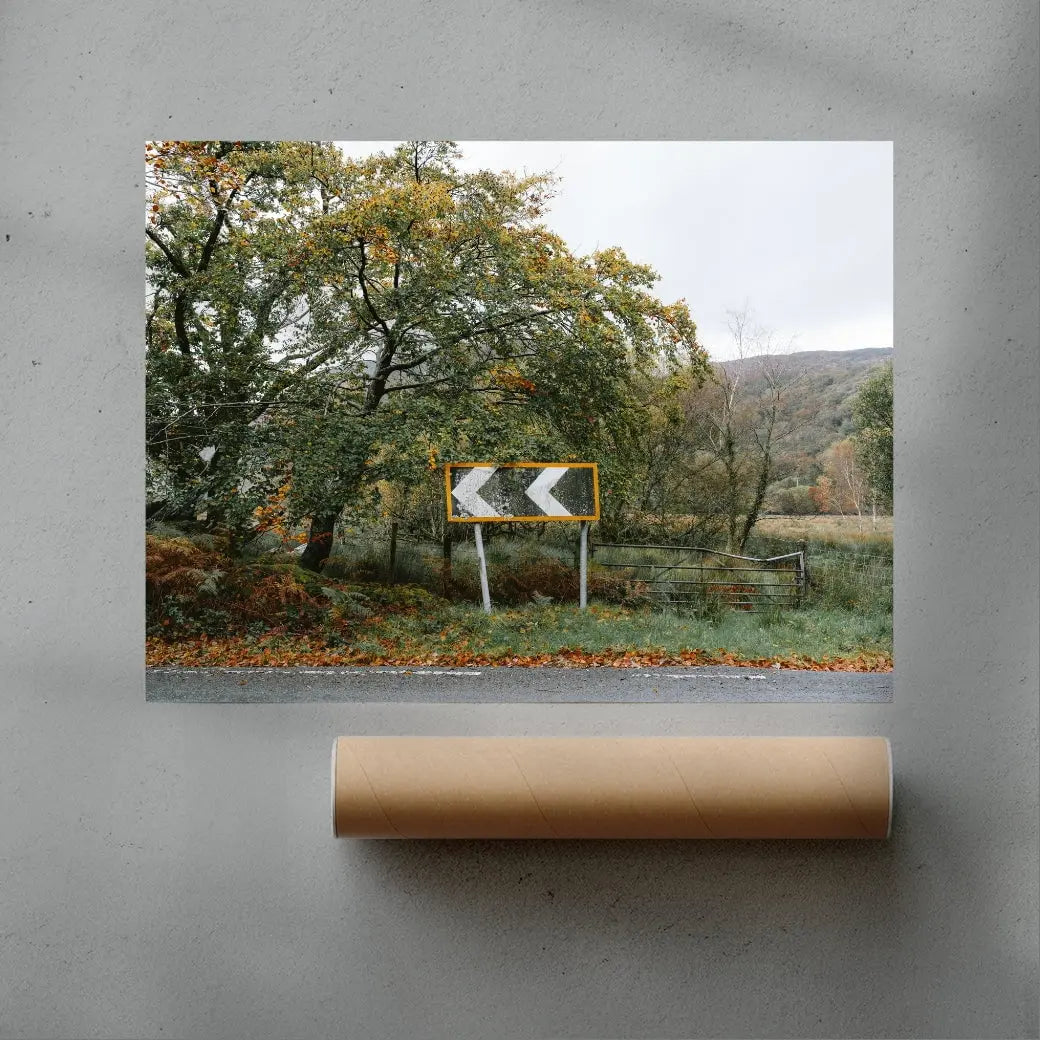 Turn Left contemporary wall art print by James Popsys - sold by DROOL