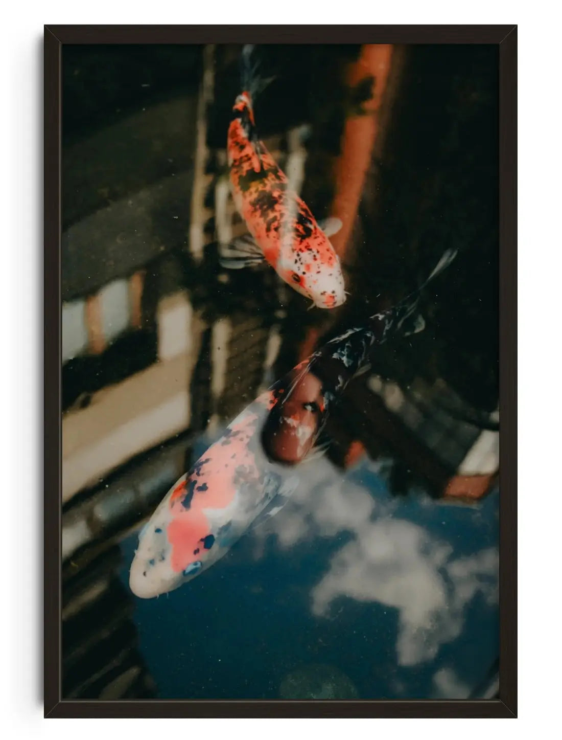 Koi Reflections contemporary wall art print by Wyatt Clough - sold by DROOL