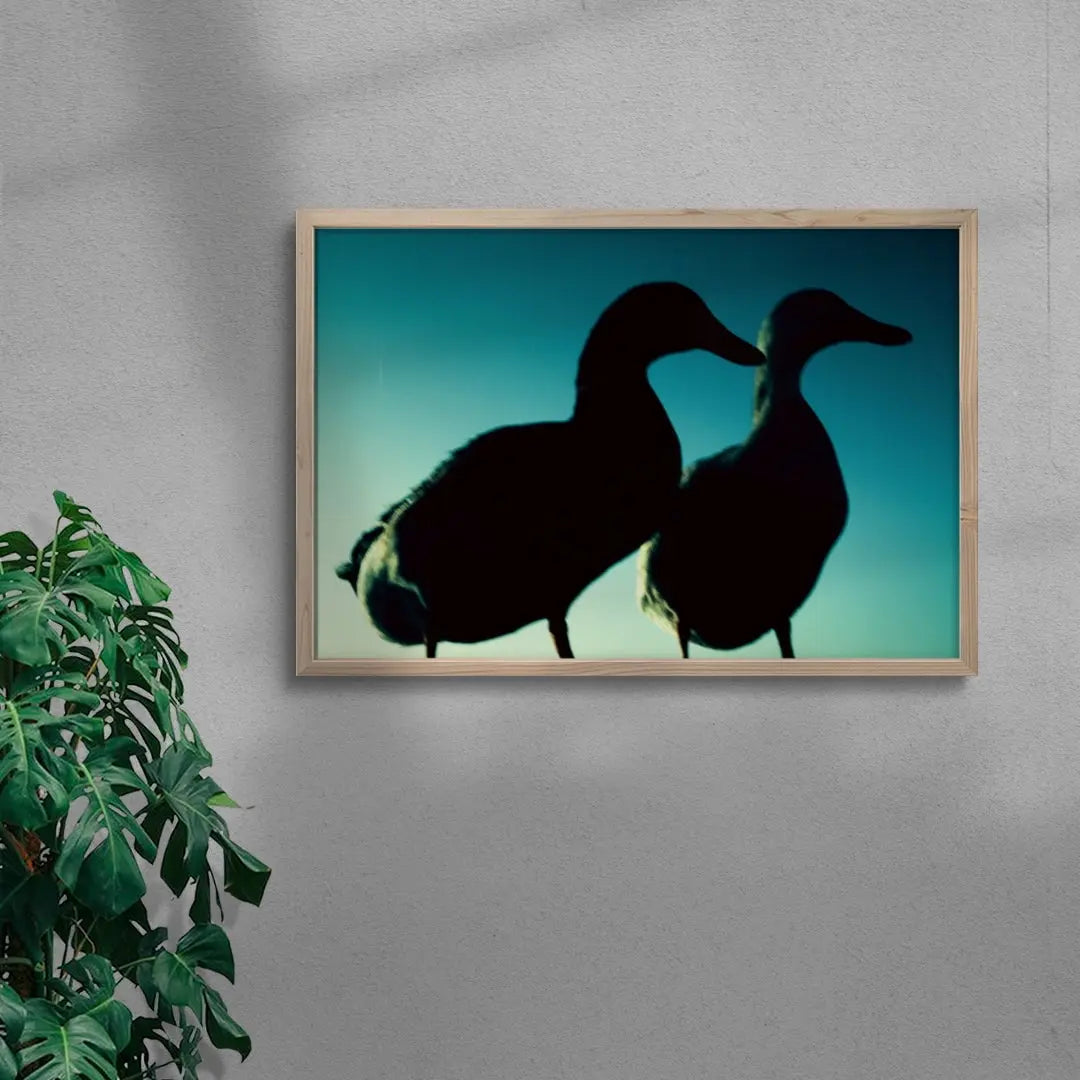 Duck Pair contemporary wall art print by Omar Belattar - sold by DROOL
