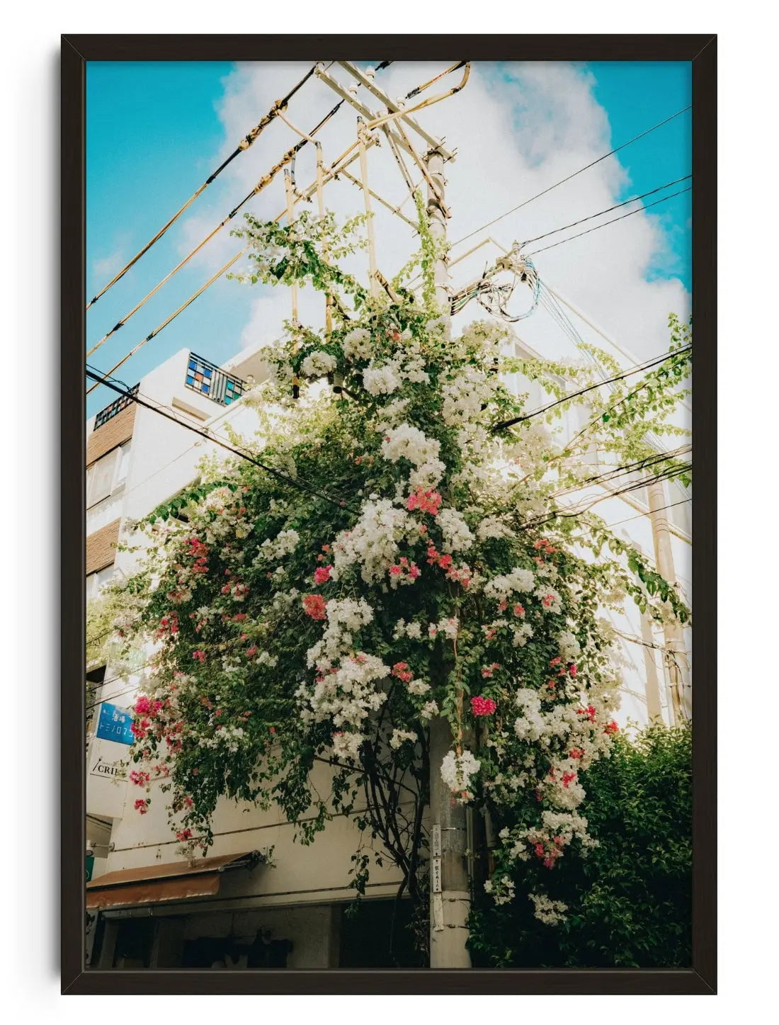 Flourish contemporary wall art print by Wyatt Clough - sold by DROOL