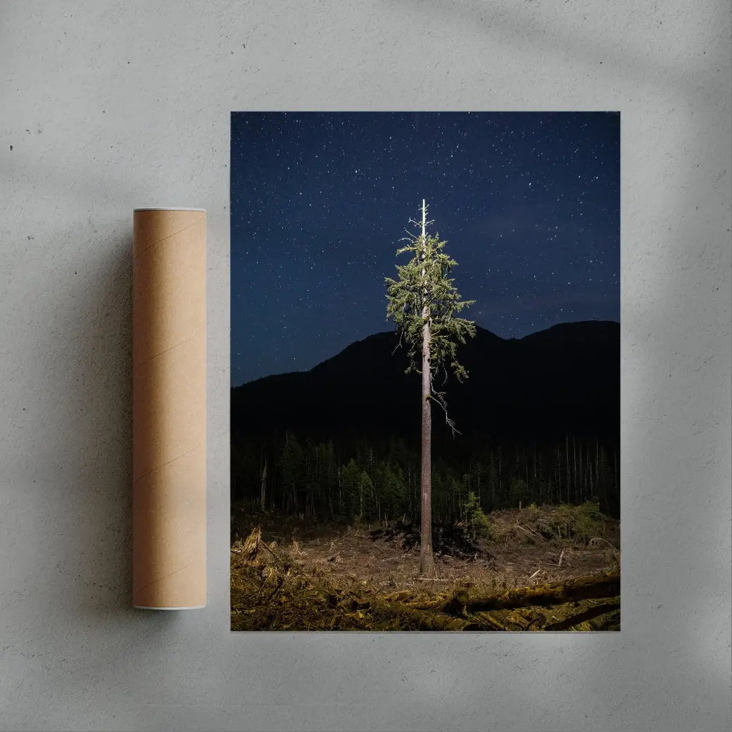 Lone Tree contemporary wall art print by Joshua Cogan - sold by DROOL