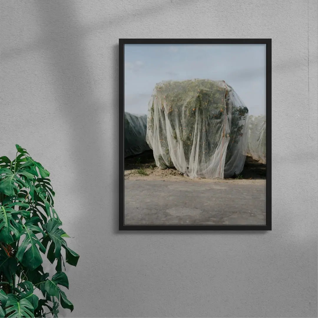 Netted contemporary wall art print by Alex Cook - sold by DROOL
