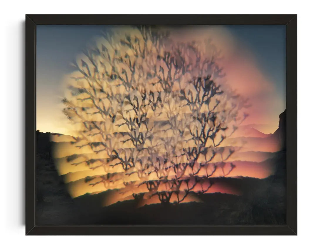 Desert Flash contemporary wall art print by Delaney Allen - sold by DROOL