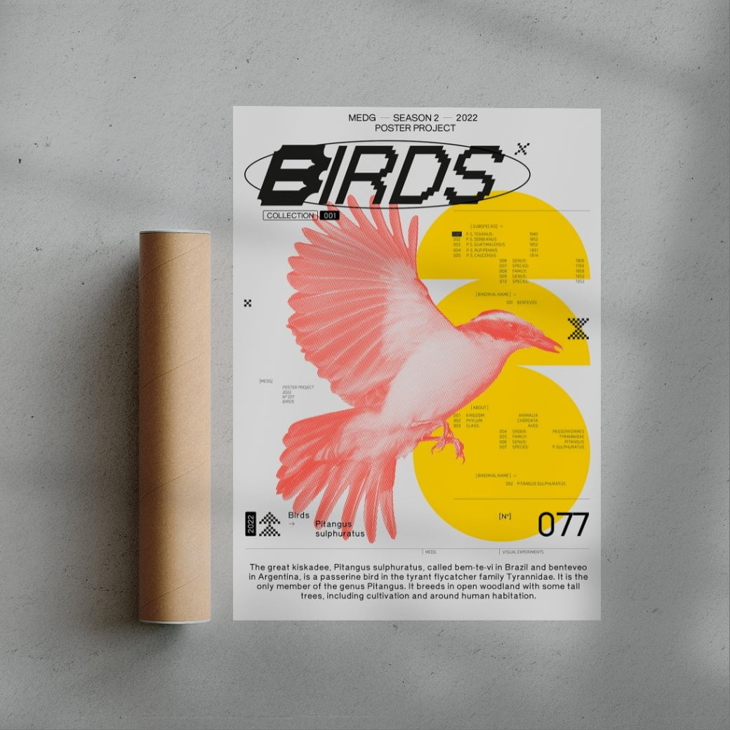 Birds contemporary wall art print by MEDG - sold by DROOL