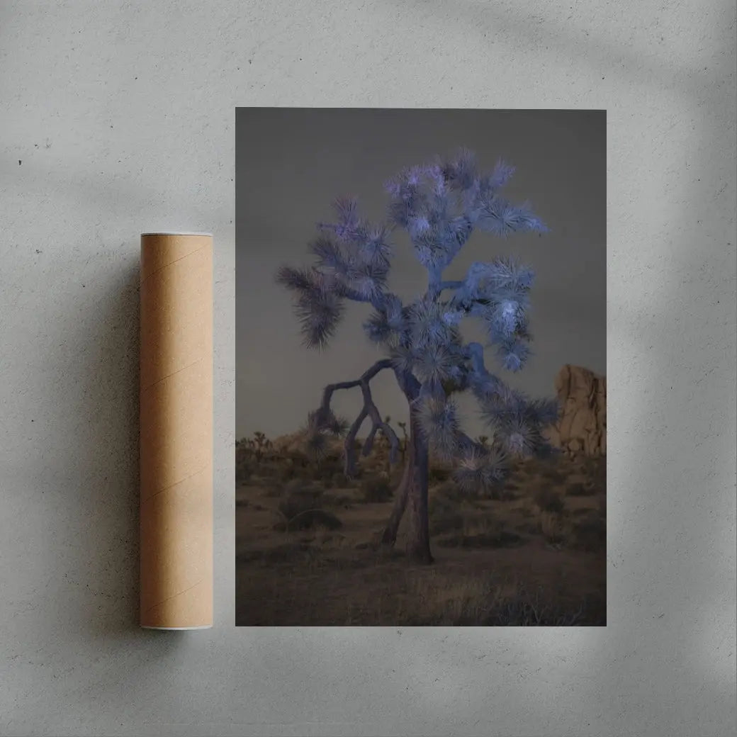Joshua Tree contemporary wall art print by Delaney Allen - sold by DROOL