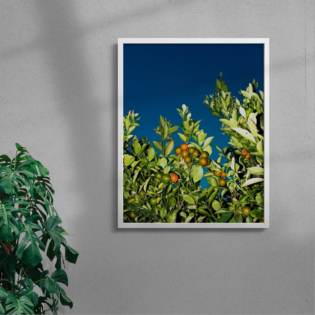 MANDARINE contemporary wall art print by Gregory Tauziac - sold by DROOL