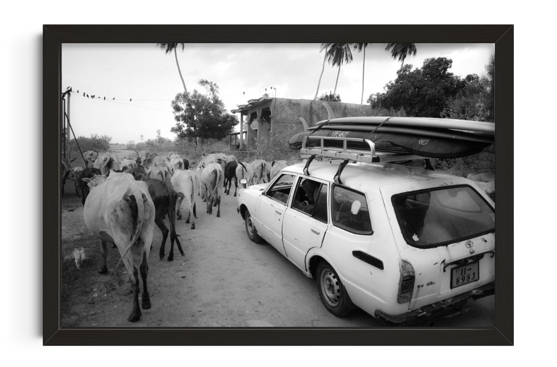 Jungle Traffic contemporary wall art print by la_malinde - sold by DROOL