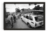 Jungle Traffic contemporary wall art print by la_malinde - sold by DROOL