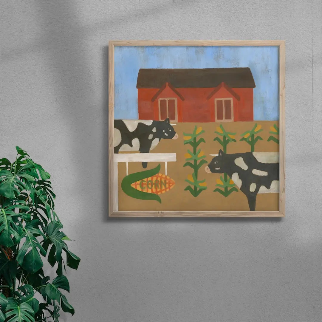 The cows that got the corn
