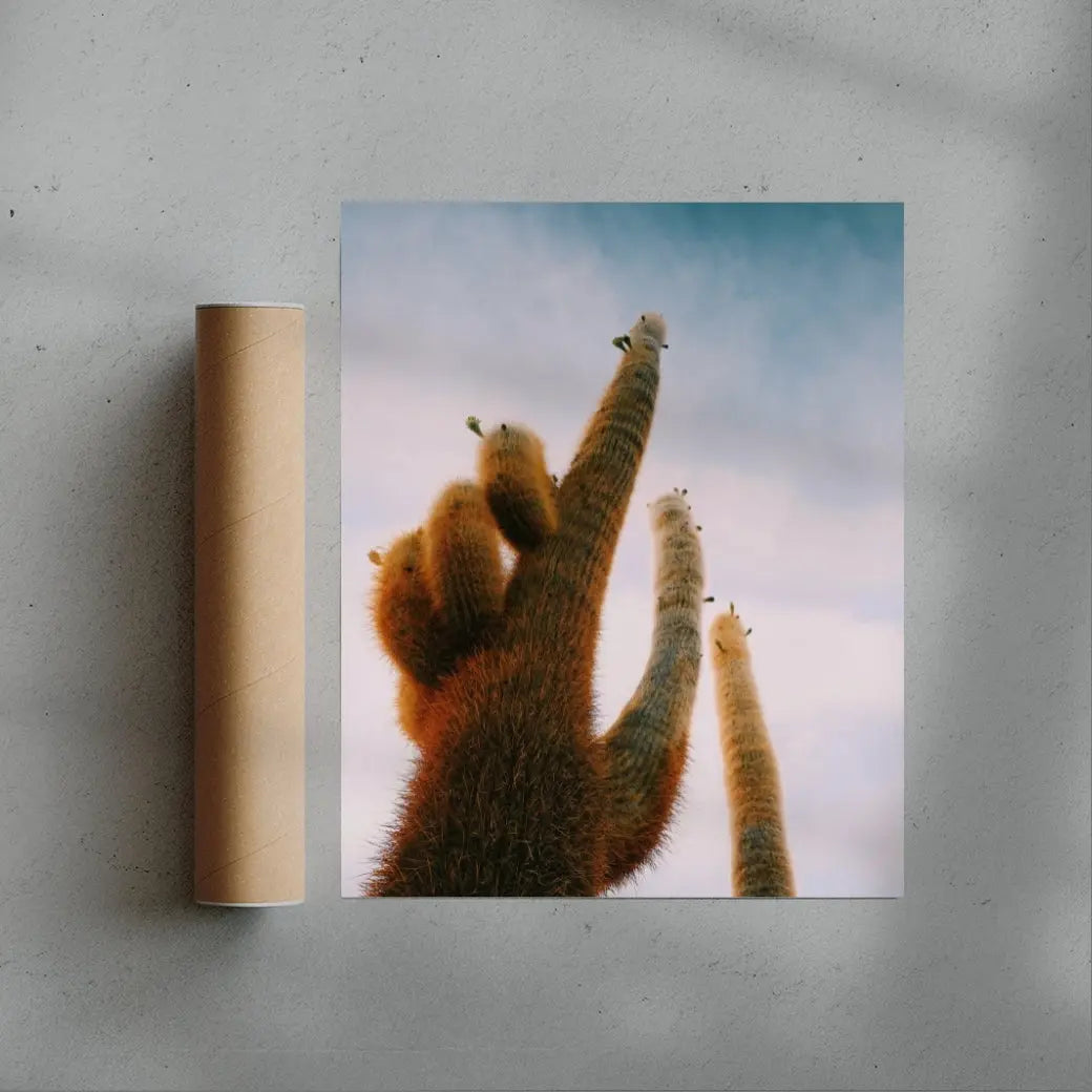 FUZZY. contemporary wall art print by Mandy Sham - sold by DROOL