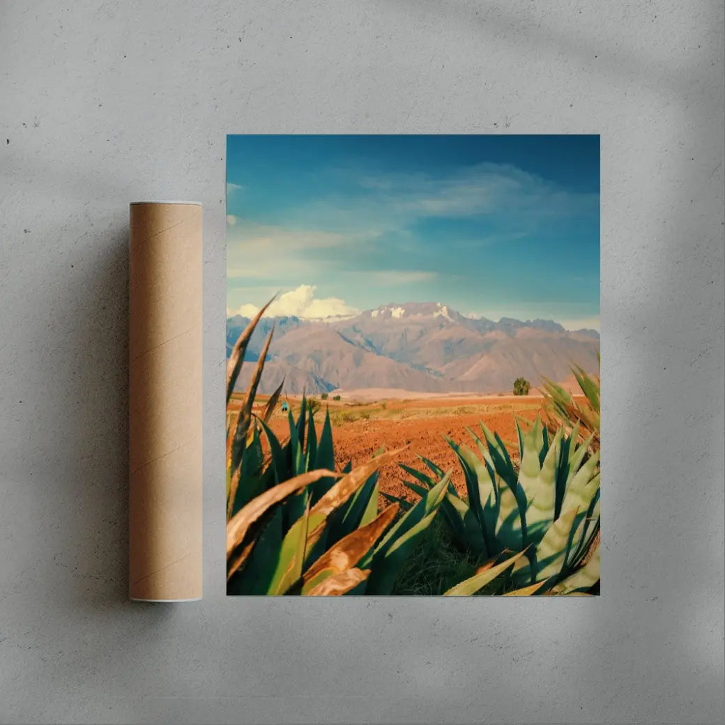 Desert Peak contemporary wall art print by Mandy Sham - sold by DROOL
