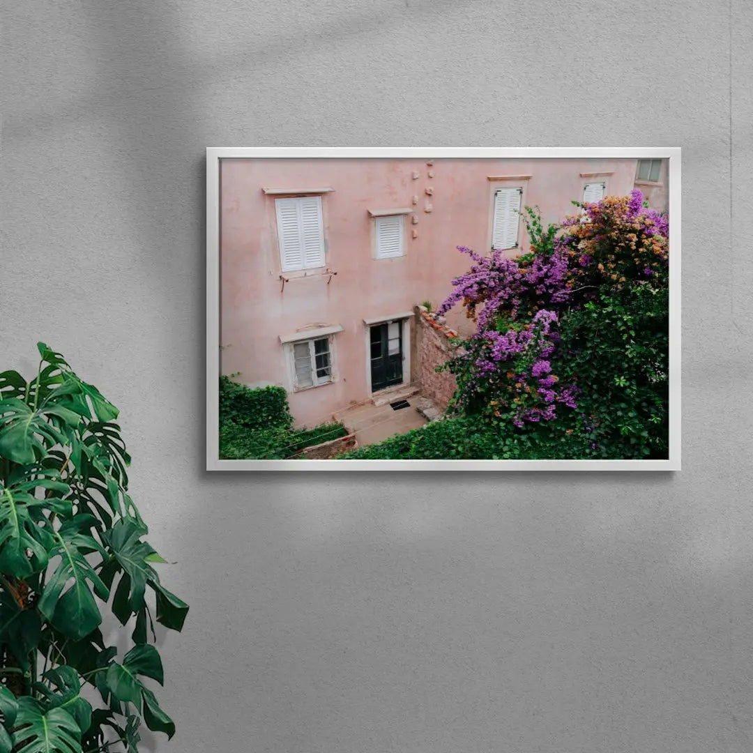 Pink Wall Bougainvillea contemporary wall art print by Sam Rouda - sold by DROOL