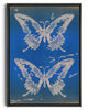 Cargar imagen en el visor de la galería, Flutter contemporary wall art print by KBAR Archive - sold by DROOL