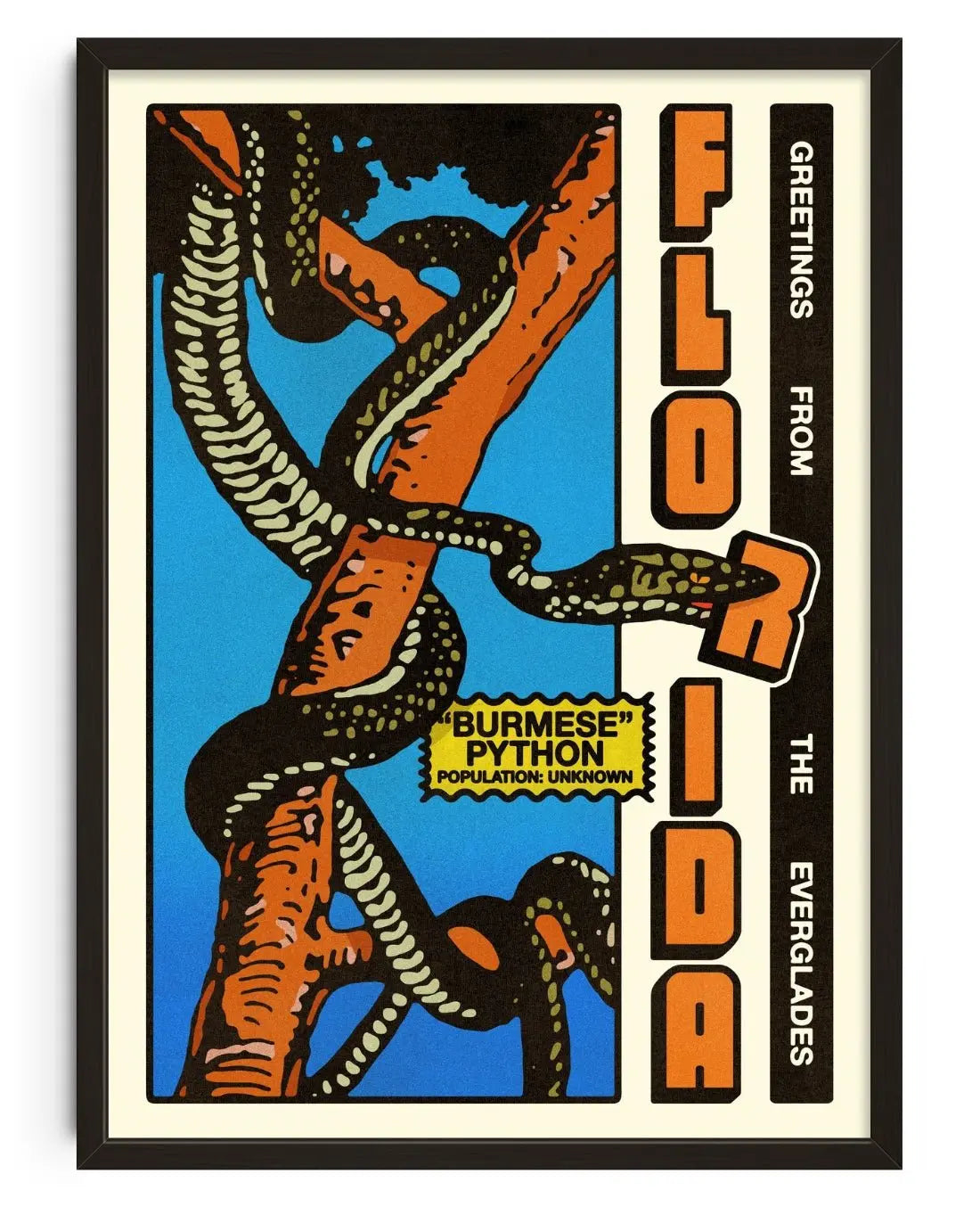 Florida Everglades contemporary wall art print by Othman Zougam - sold by DROOL