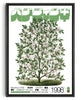 Load image into Gallery viewer, Magnolia Tree contemporary wall art print by George Kempster - sold by DROOL