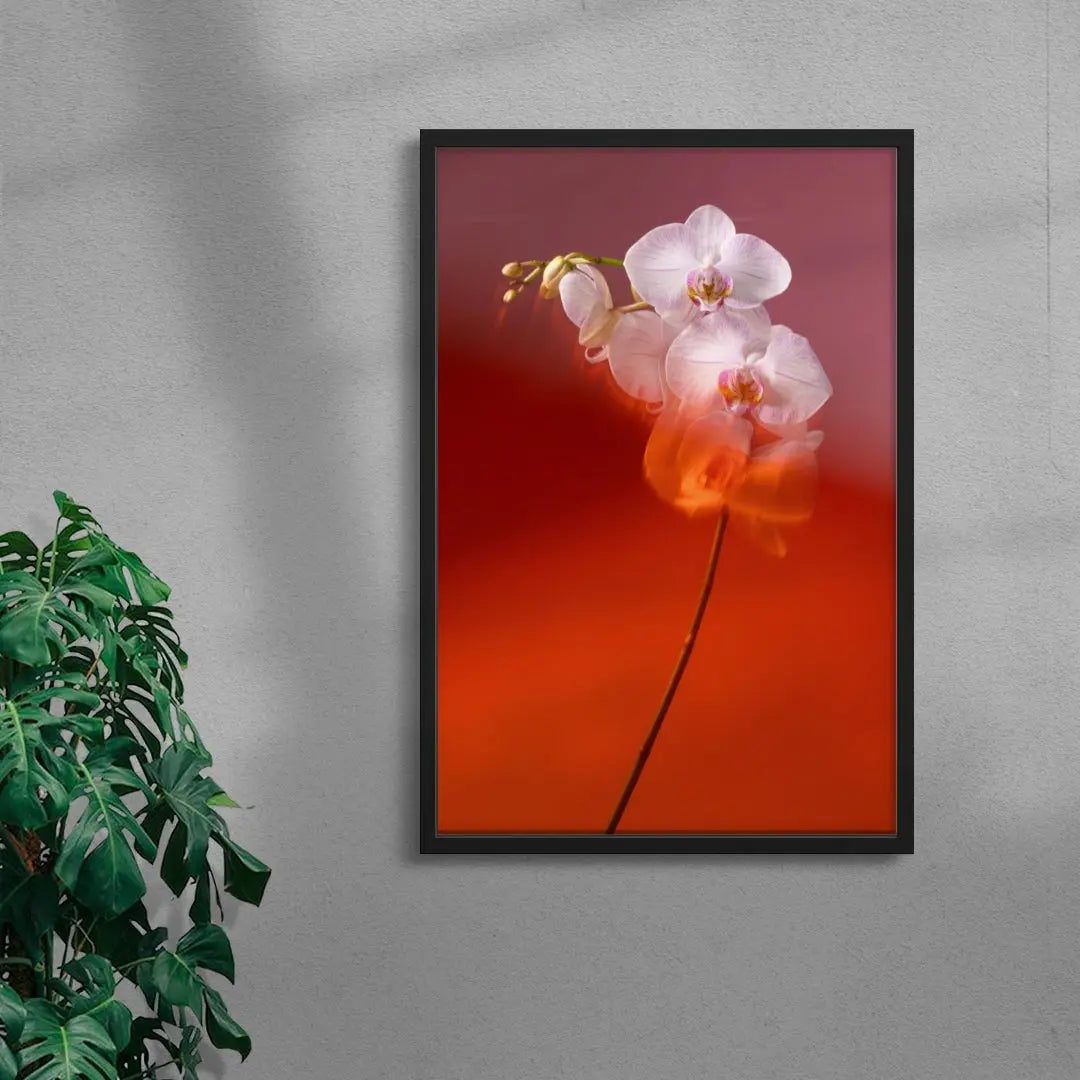 Blushing Orchid contemporary wall art print by Kristina Kulakova - sold by DROOL