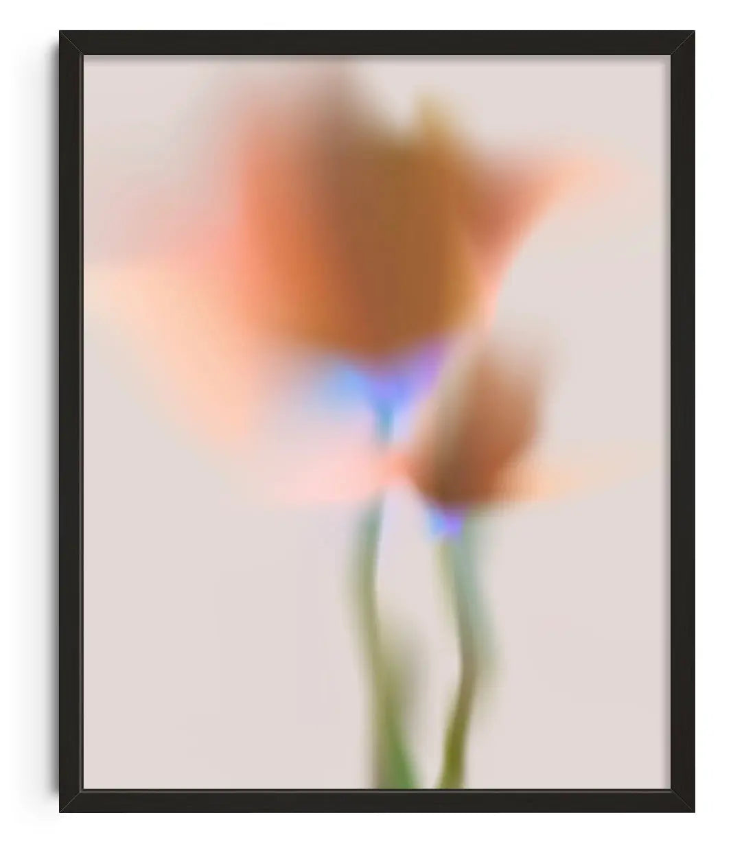 Orange Flower contemporary wall art print by Federico Sánchez - sold by DROOL