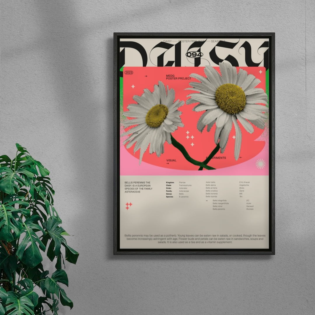 Daisy contemporary wall art print by MEDG - sold by DROOL
