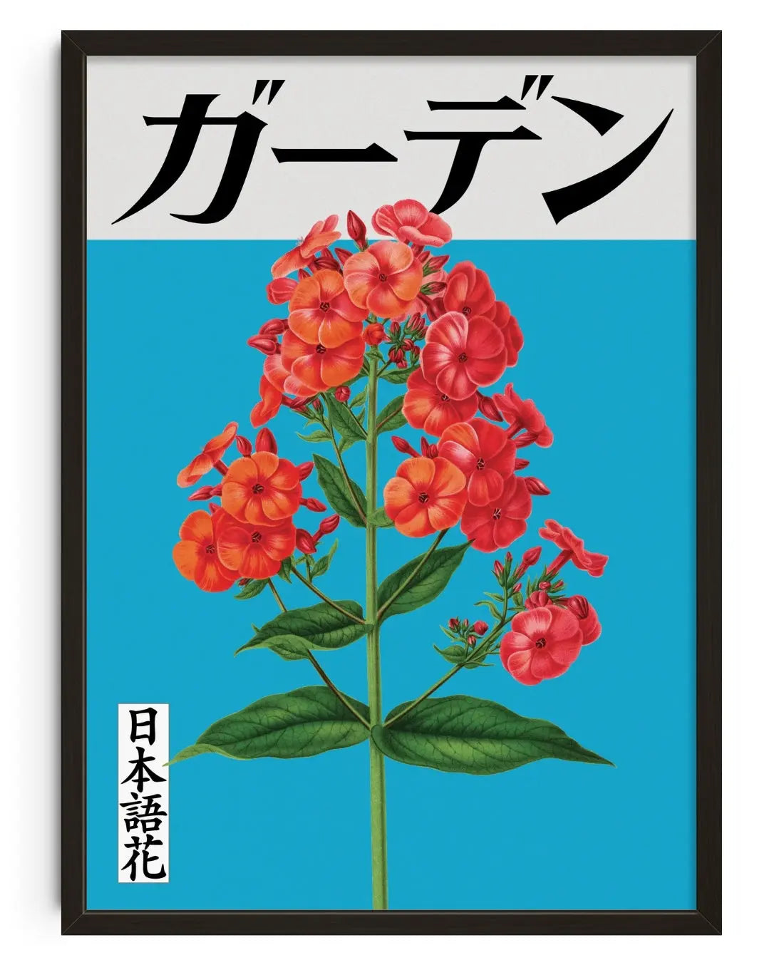 Phlox Paniculata contemporary art print by George Kempster - sold by DROOL