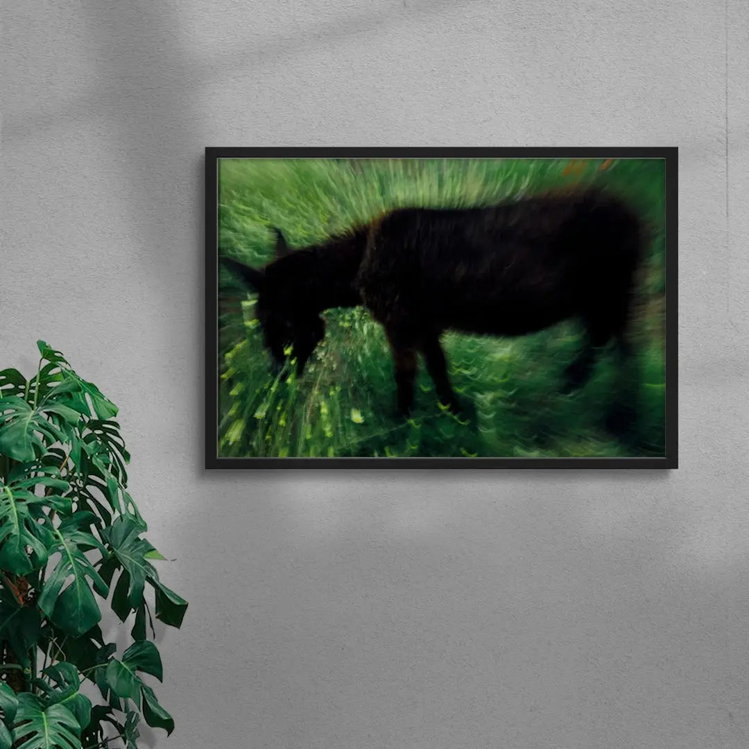 Grazing Donkey contemporary wall art print by Omar Belattar - sold by DROOL