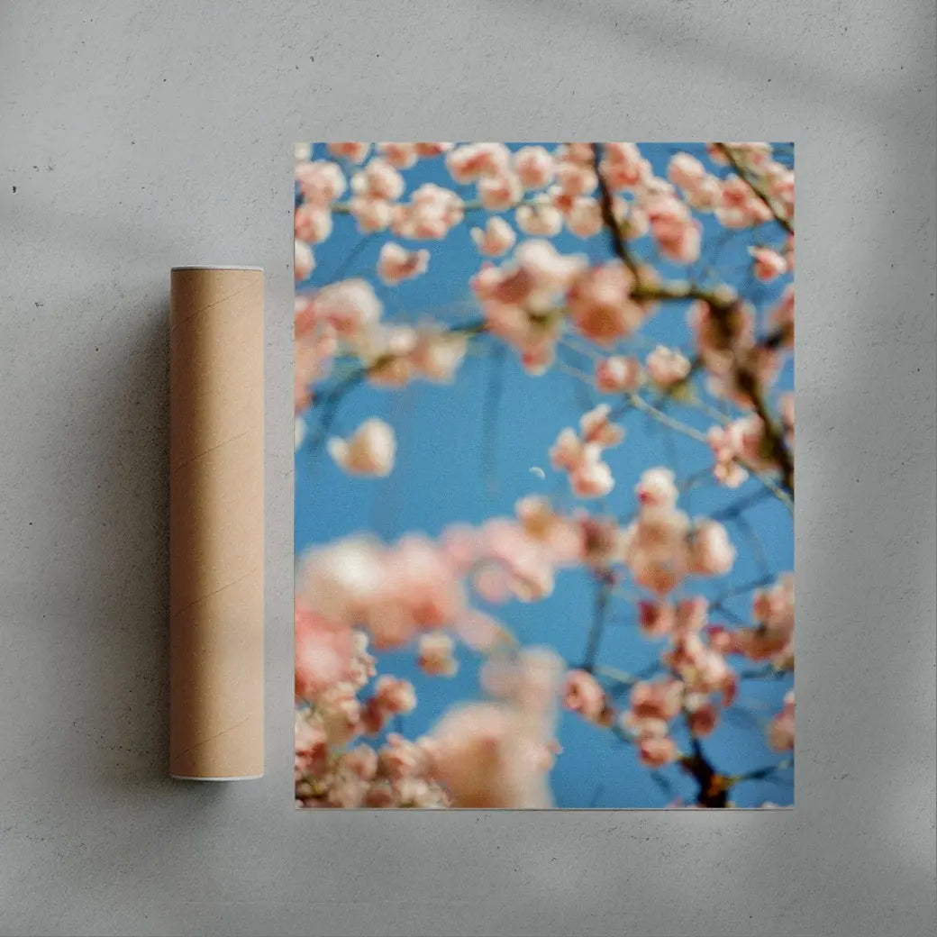 Cherrry Blossom contemporary wall art print by Kelsey Gallagher - sold by DROOL