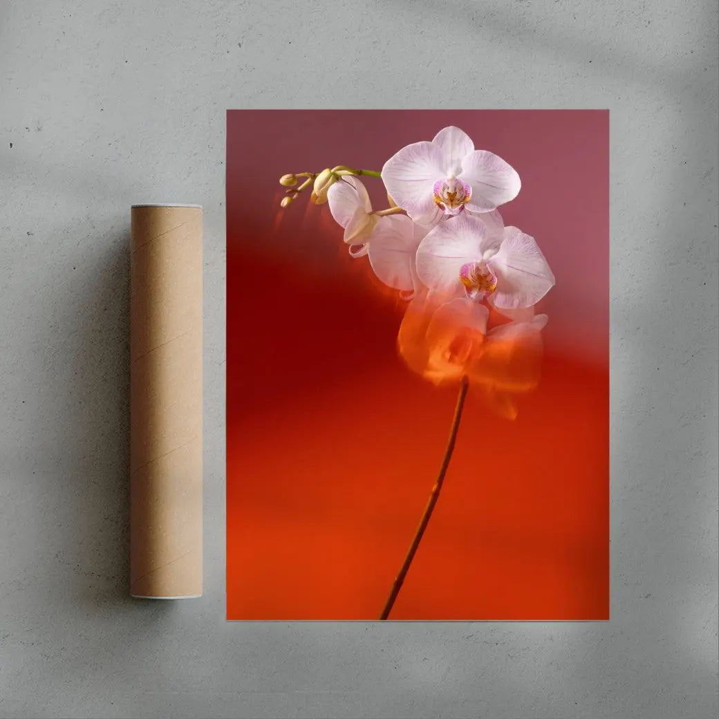Blushing Orchid contemporary wall art print by Kristina Kulakova - sold by DROOL