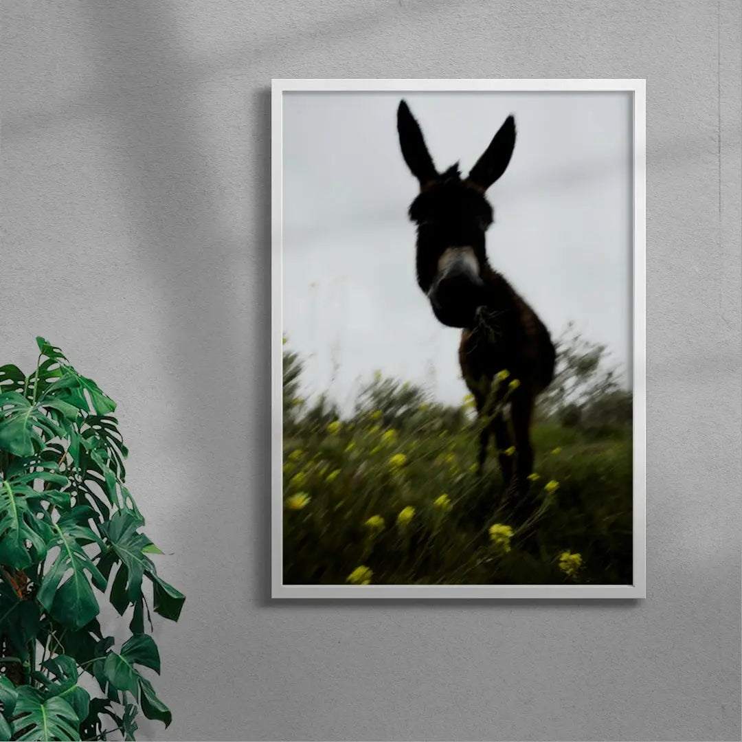 Morning Donkey contemporary wall art print by Omar Belattar - sold by DROOL