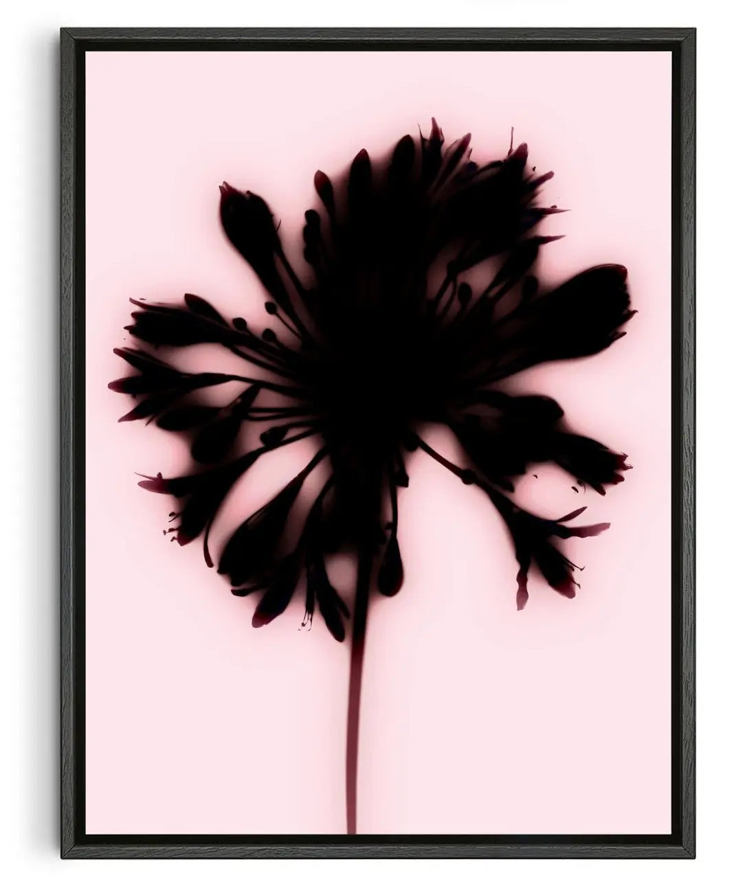 Blooming contemporary wall art print by Antoine Paikert - sold by DROOL
