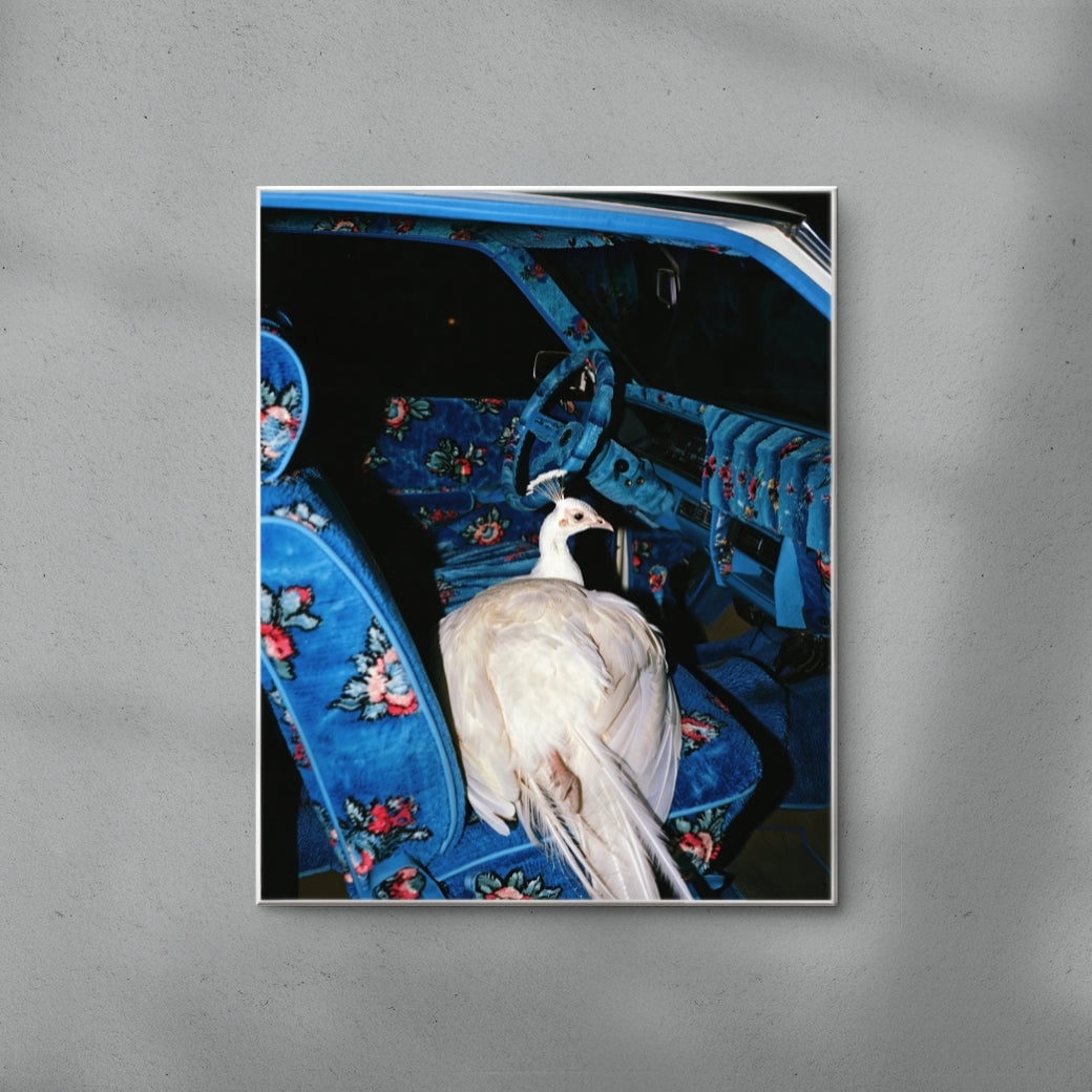 GO WHERE YOU GO. contemporary wall art print by Ces XC - sold by DROOL