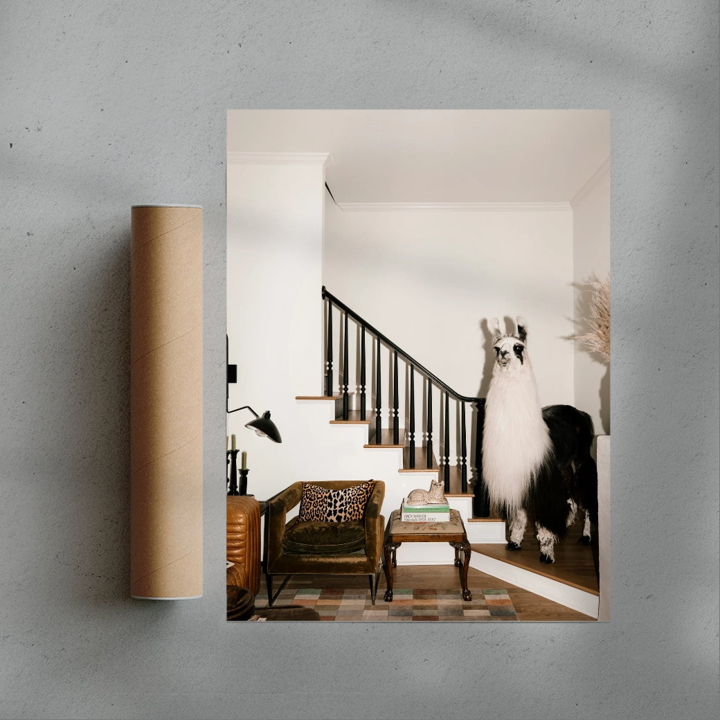 A Welcome Llama contemporary wall art print by Mary Caroline Russell - sold by DROOL