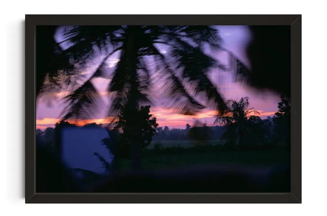 Palm Twilight contemporary wall art print by Tatjana Titimova - sold by DROOL