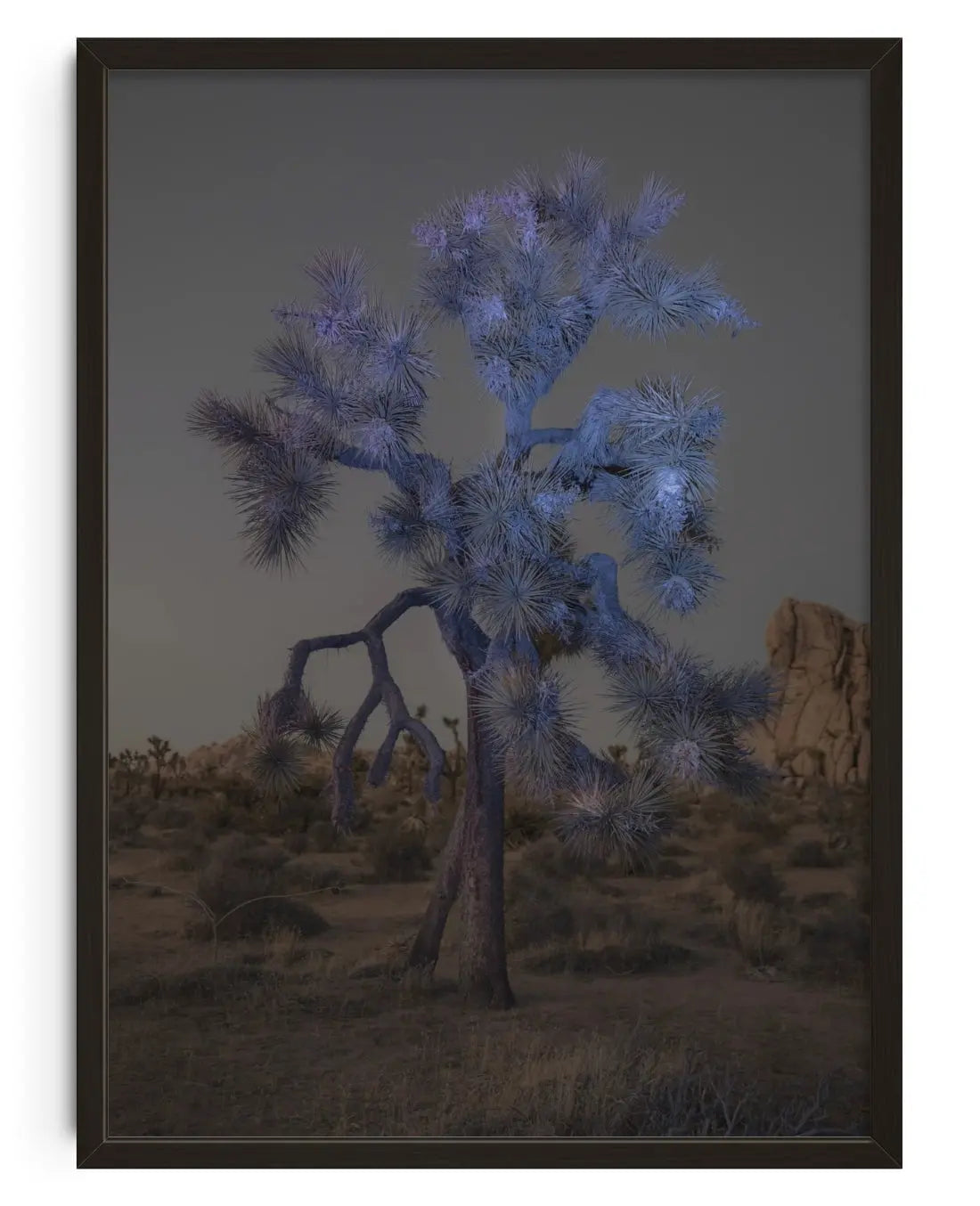 Joshua Tree contemporary wall art print by Delaney Allen - sold by DROOL