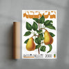Two Pears contemporary wall art print by George Kempster - sold by DROOL