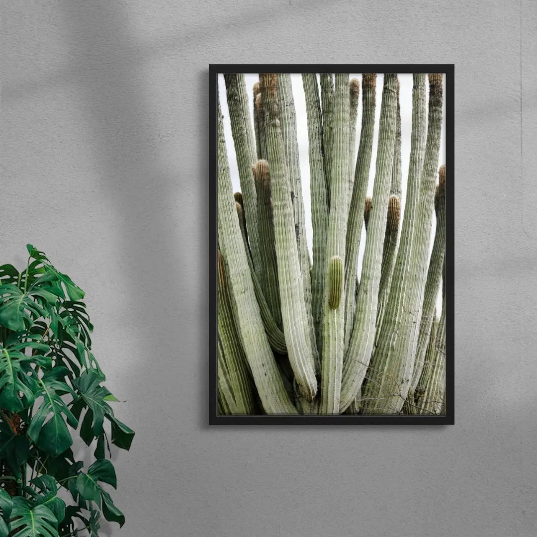 Spike contemporary wall art print by Rebecca Newman - sold by DROOL