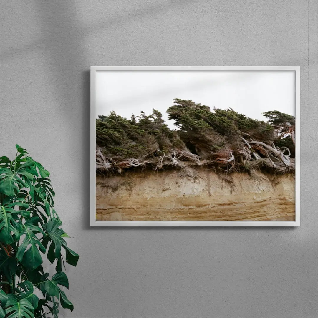 Windblown Trees contemporary wall art print by Nirav Patel - sold by DROOL