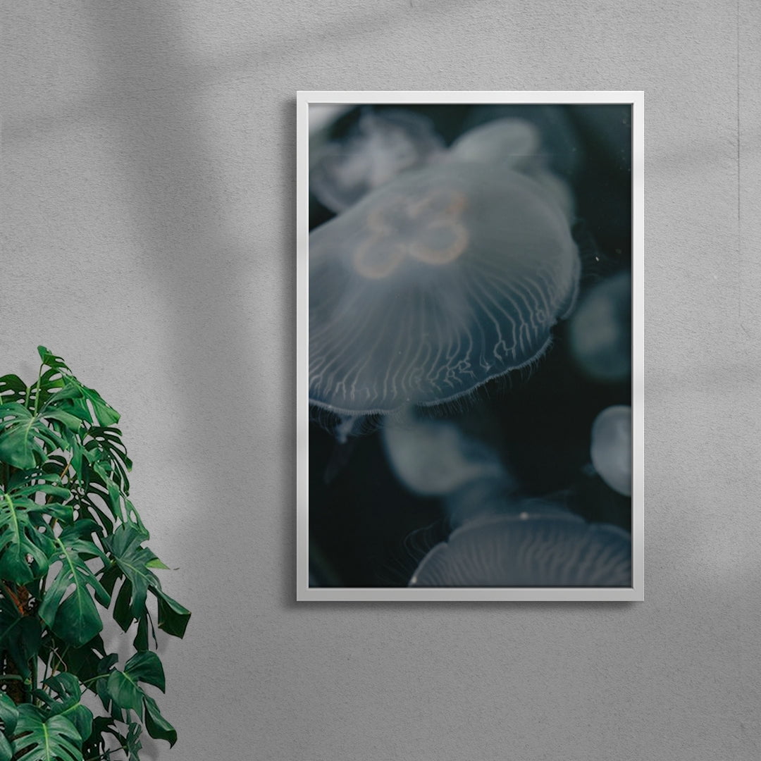 Jellyfish contemporary wall art print by Ashley Chruszcz - sold by DROOL