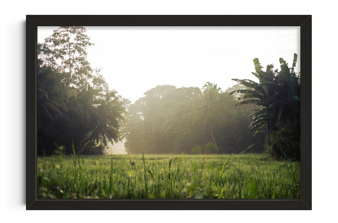 12x18" (30x45cm) Morning in countryside contemporary wall art print by la_malinde - sold by DROOL