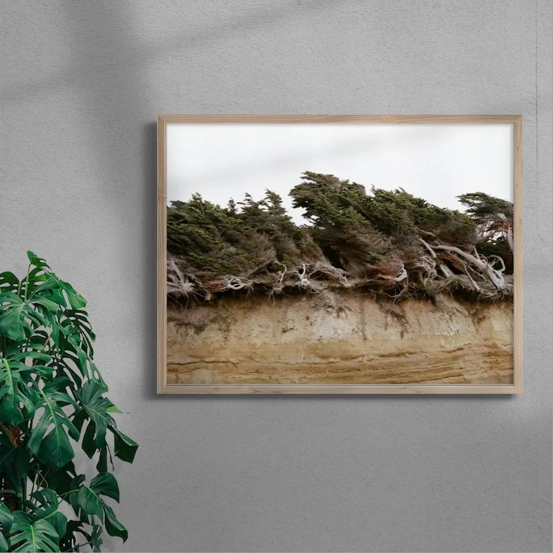 Windblown Trees contemporary wall art print by Nirav Patel - sold by DROOL