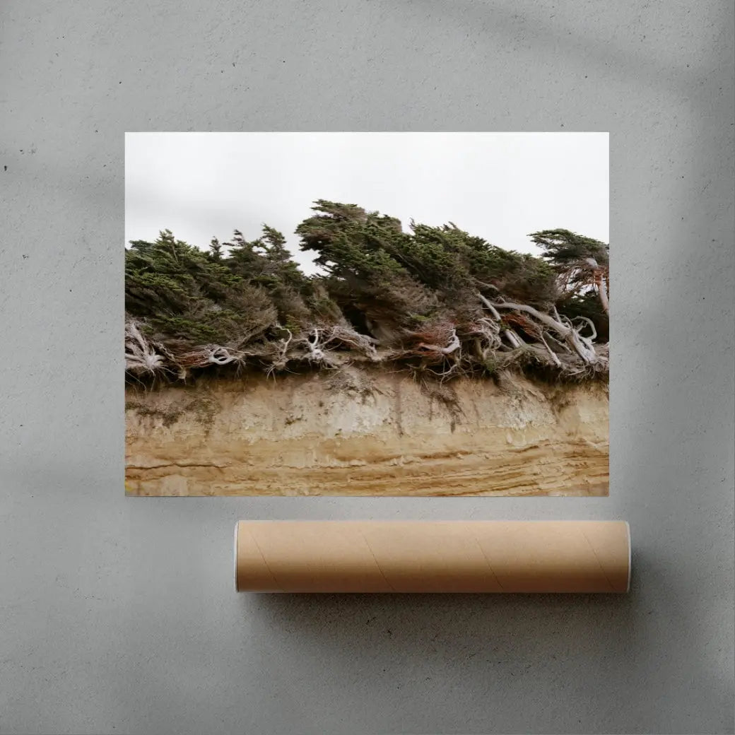 Windblown Trees contemporary wall art print by Nirav Patel - sold by DROOL
