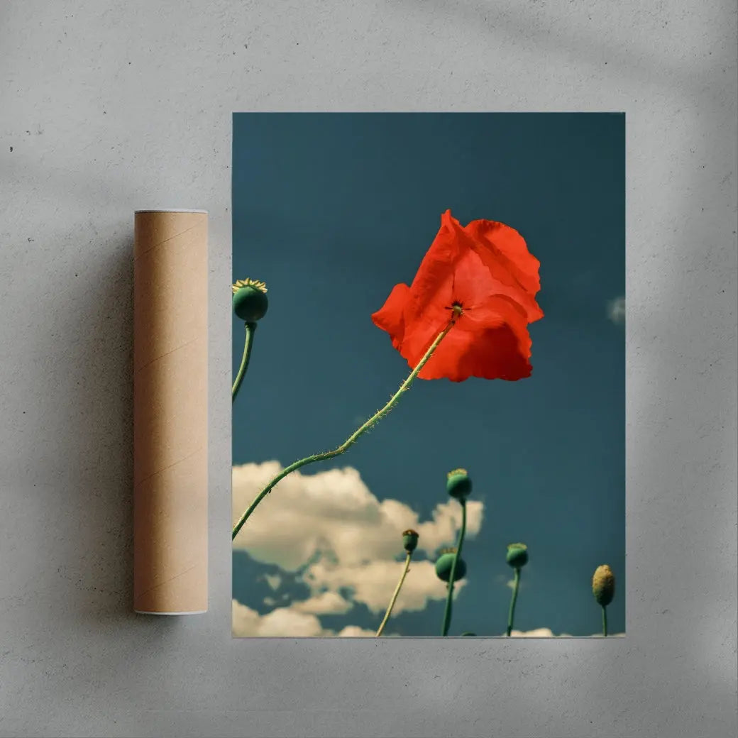 East London poppies