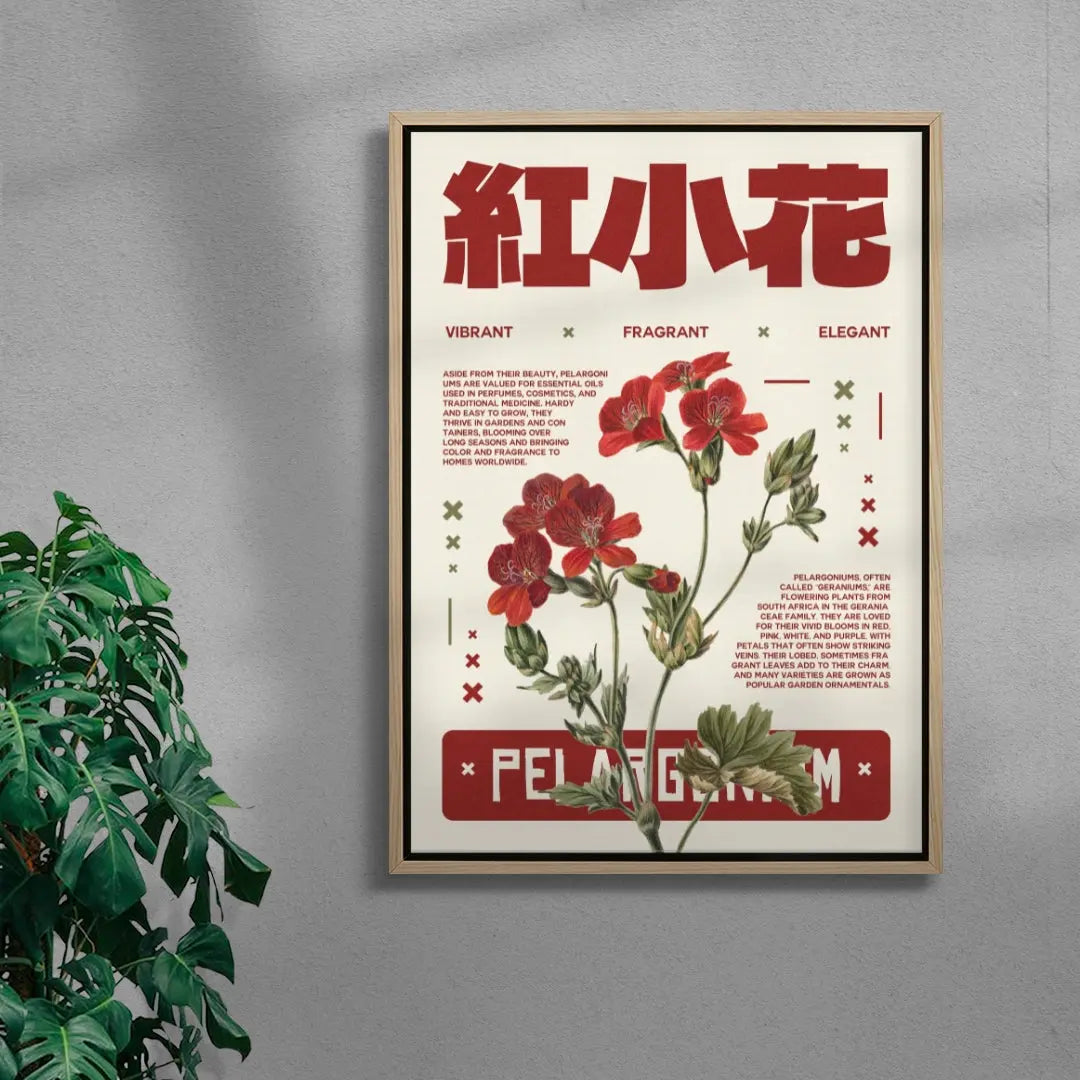 Pelargonium poster