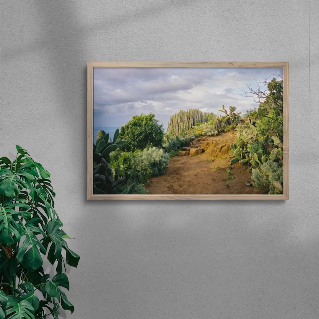 Cactus Path contemporary wall art print by Jade Stephens - sold by DROOL