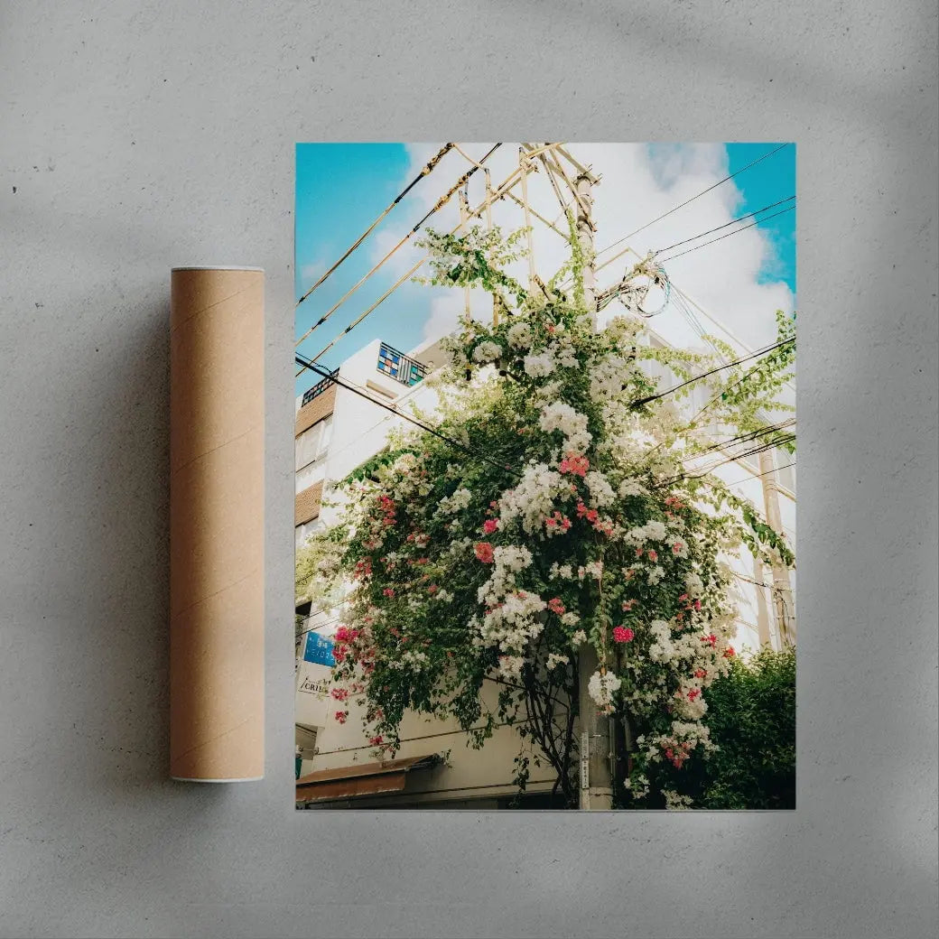 Flourish contemporary wall art print by Wyatt Clough - sold by DROOL