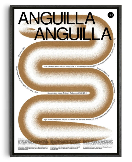 Anguilla