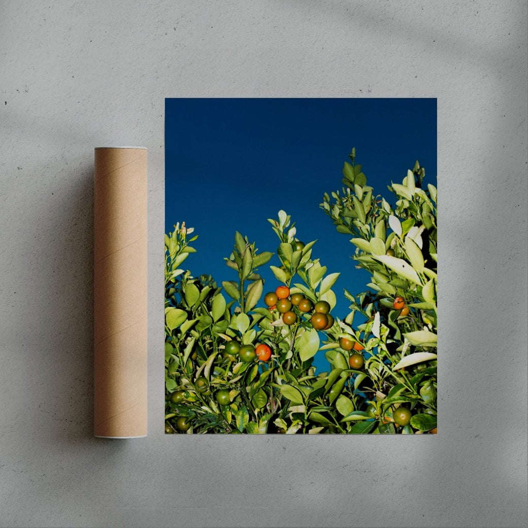 MANDARINE contemporary wall art print by Gregory Tauziac - sold by DROOL